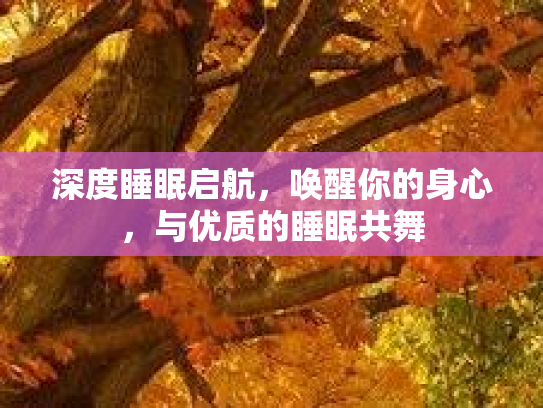 深度睡眠启航,唤醒你的身心,与优质的睡眠共舞 深度睡眠启航,唤醒你的身心,与优质的睡眠共舞