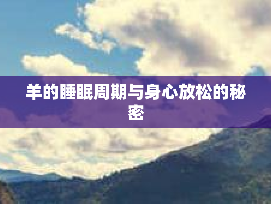 羊的睡眠周期与身心放松的秘密