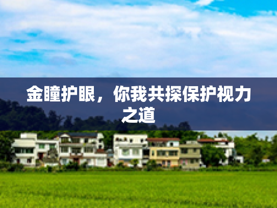 金瞳护眼，你我共探保护视力之道第1张-巧哦健康视界