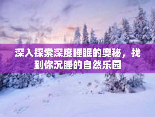 深入探索深度睡眠的奥秘，找到你沉睡的自然乐园