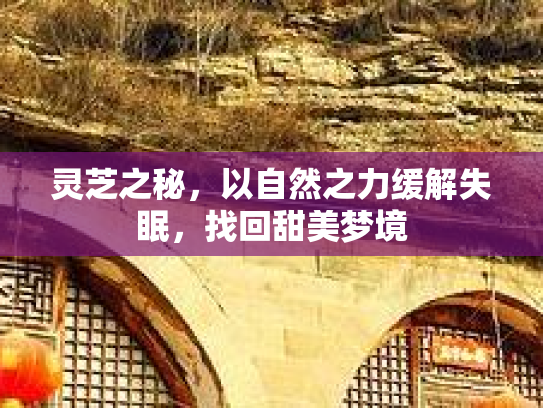 灵芝之秘,以自然之力缓解失眠,找回甜美梦境 灵芝之秘,以自然之力缓解失眠,找回甜美梦境