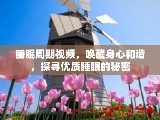 睡眠周期视频，唤醒身心和谐，探寻优质睡眠的秘密