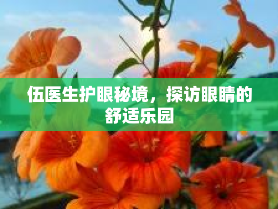 伍医生护眼秘境，探访眼睛的舒适乐园第1张-巧哦健康视界