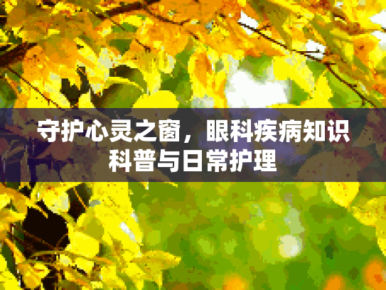 守护心灵之窗，眼科疾病知识科普与日常护理