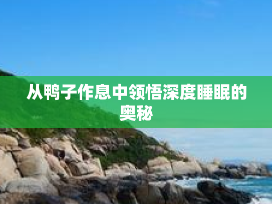 从鸭子作息中领悟深度睡眠的奥秘 从鸭子作息中领悟深度睡眠的奥秘