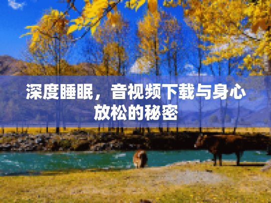 深度睡眠，音视频下载与身心放松的秘密