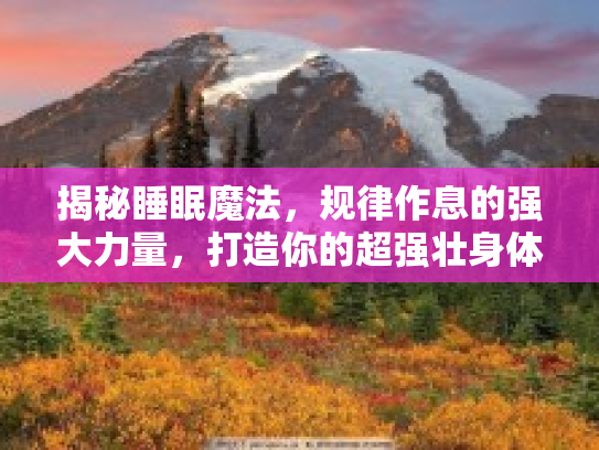 揭秘睡眠魔法，规律作息的强大力量，打造你的超强壮身体与好梦天地