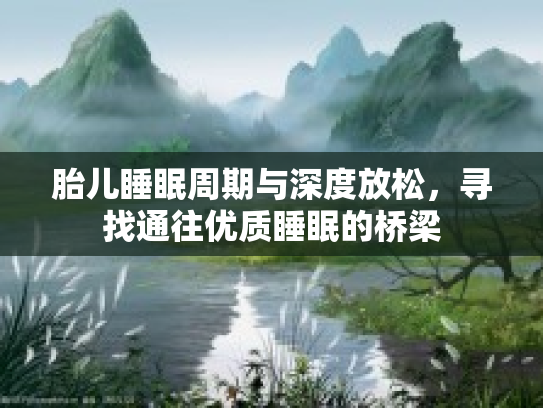 胎儿睡眠周期与深度放松，寻找通往优质睡眠的桥梁