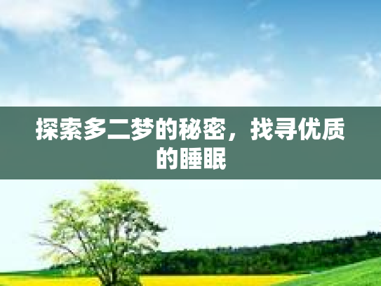 探索多二梦的秘密，找寻优质的睡眠