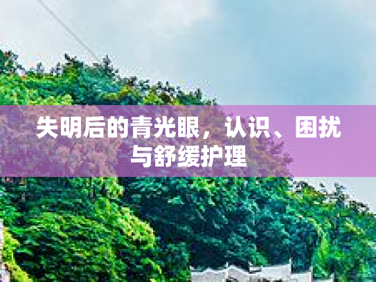 失明后的青光眼，认识、困扰与舒缓护理