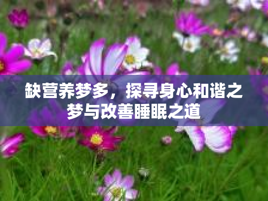 缺营养梦多，探寻身心和谐之梦与改善睡眠之道