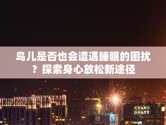 鸟儿是否也会遭遇睡眠的困扰？探索身心放松新途径