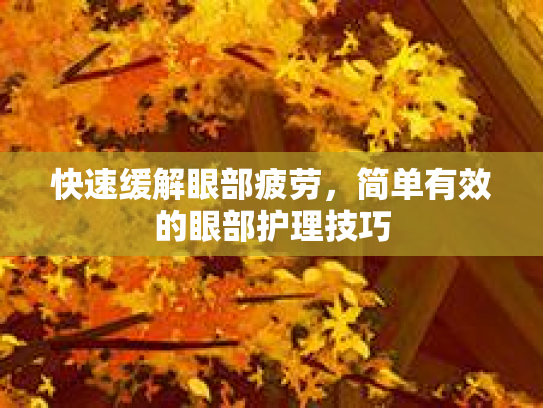 快速缓解眼部疲劳，简单有效的眼部护理技巧