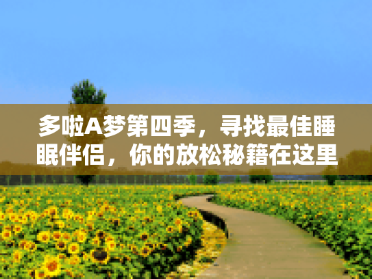 多啦A梦第四季，寻找最佳睡眠伴侣，你的放松秘籍在这里