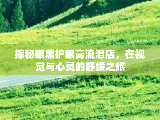 探秘眼熏护眼膏流泪店，在视觉与心灵的舒缓之旅第1张-巧哦健康视界