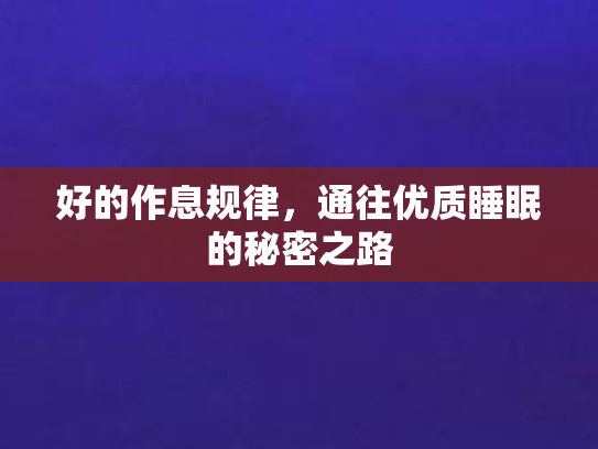好的作息规律，通往优质睡眠的秘密之路