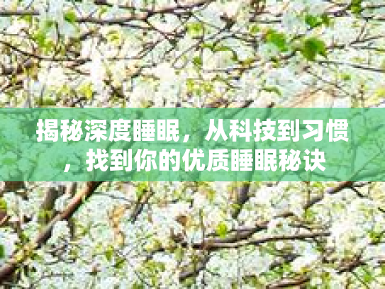 揭秘深度睡眠，从科技到习惯，找到你的优质睡眠秘诀