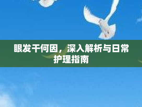 眼发干何因，深入解析与日常护理指南