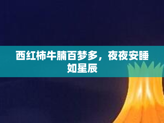 西红柿牛腩百梦多，夜夜安睡如星辰