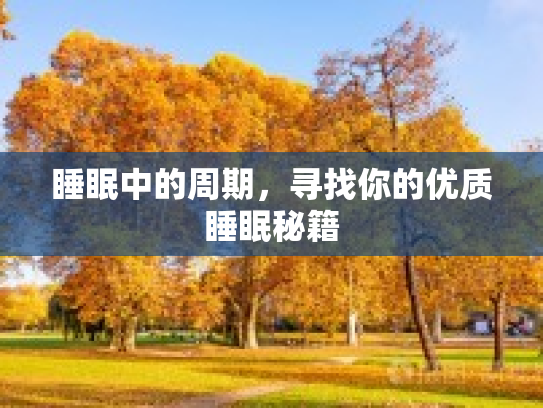 睡眠中的周期，寻找你的优质睡眠秘籍第1张-巧哦健康视界