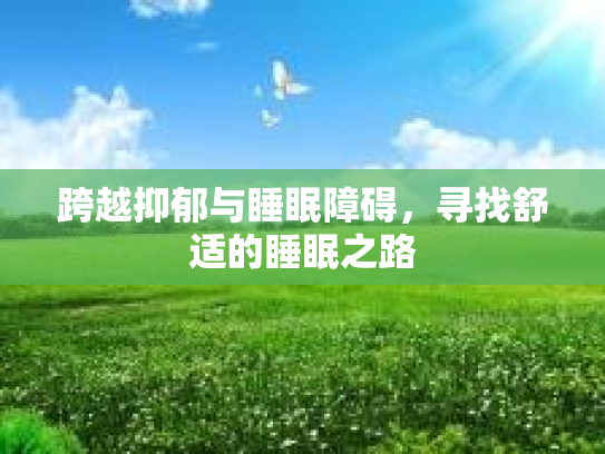 跨越抑郁与睡眠障碍，寻找舒适的睡眠之路