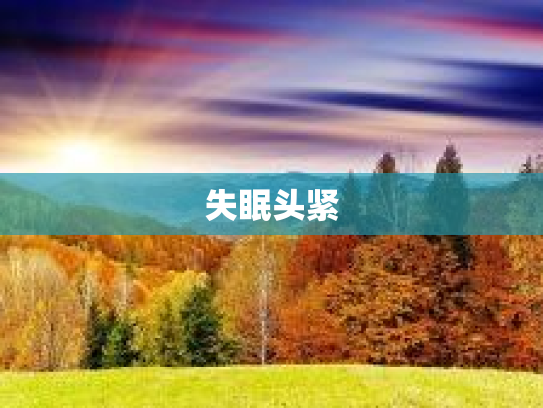 失眠头紧