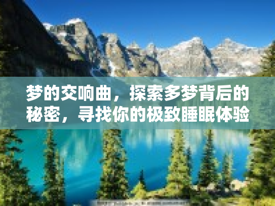 梦的交响曲，探索多梦背后的秘密，寻找你的极致睡眠体验