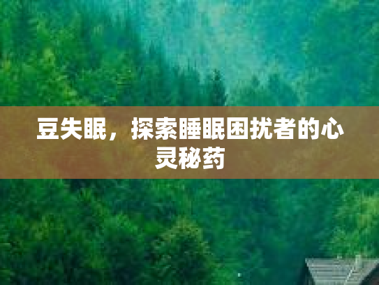 豆失眠，探索睡眠困扰者的心灵秘药