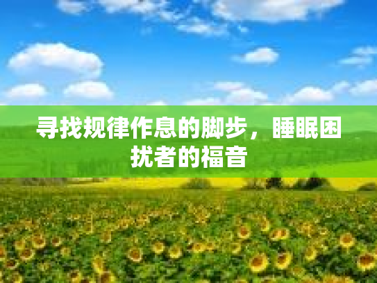 寻找规律作息的脚步，睡眠困扰者的福音