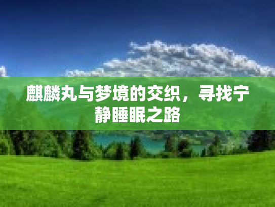 麒麟丸与梦境的交织，寻找宁静睡眠之路