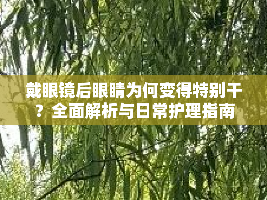 戴眼镜后眼睛为何变得特别干？全面解析与日常护理指南
