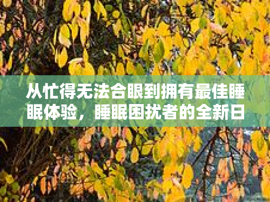 从忙得无法合眼到拥有最佳睡眠体验，睡眠困扰者的全新日常