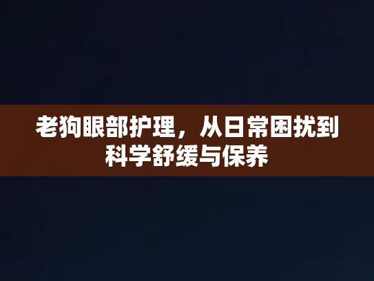 老狗眼部护理，从日常困扰到科学舒缓与保养
