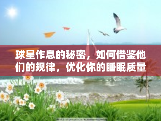 球星作息的秘密，如何借鉴他们的规律，优化你的睡眠质量？