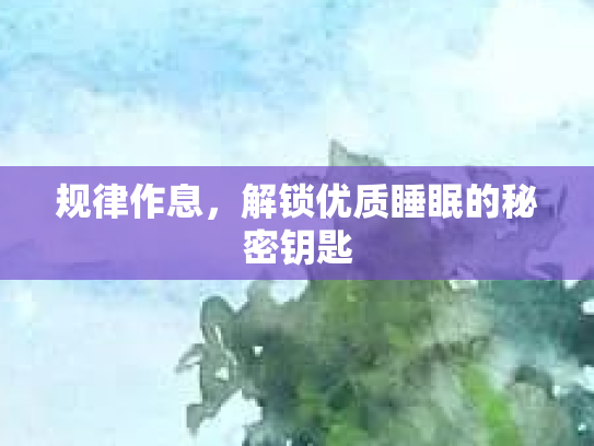 规律作息，解锁优质睡眠的秘密钥匙