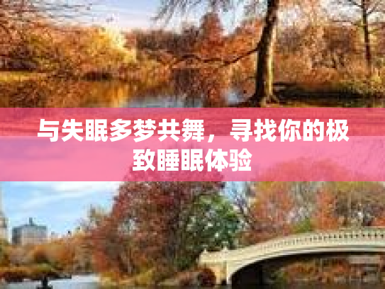 与失眠多梦共舞，寻找你的极致睡眠体验