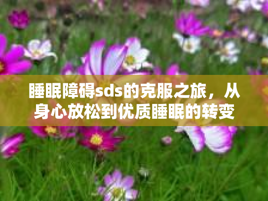 睡眠障碍sds的克服之旅，从身心放松到优质睡眠的转变