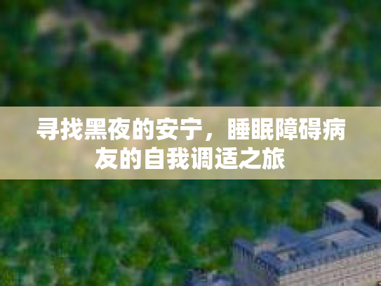 寻找黑夜的安宁，睡眠障碍病友的自我调适之旅