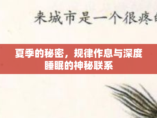 夏季的秘密，规律作息与深度睡眠的神秘联系