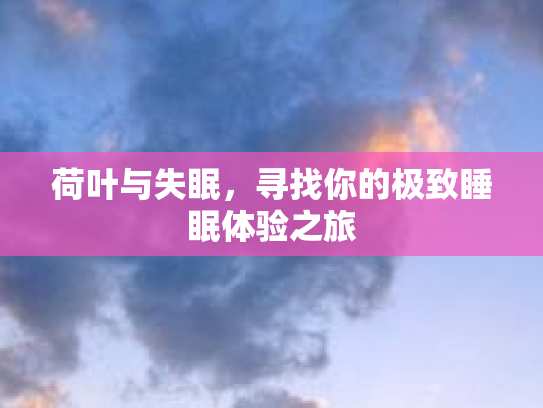 荷叶与失眠，寻找你的极致睡眠体验之旅