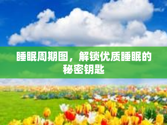 睡眠周期图，解锁优质睡眠的秘密钥匙