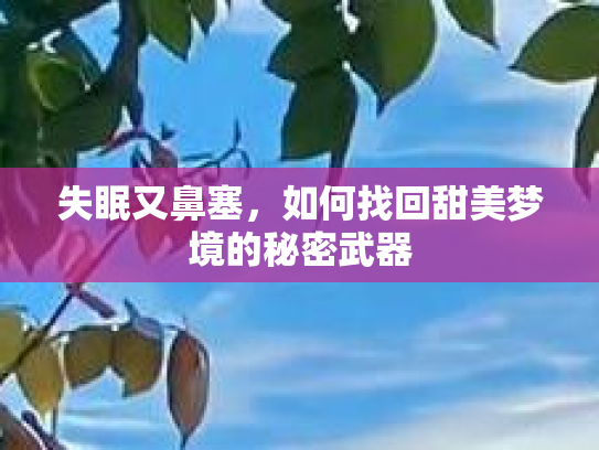 失眠又鼻塞，如何找回甜美梦境的秘密武器