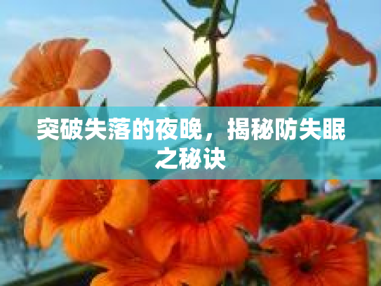 突破失落的夜晚,揭秘防失眠之秘诀 突破失落的夜晚,揭秘防失眠之秘诀