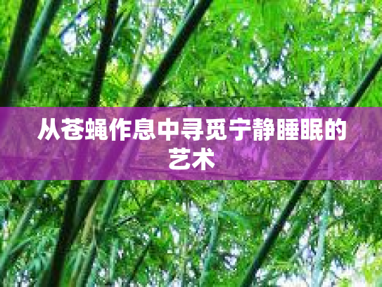 从苍蝇作息中寻觅宁静睡眠的艺术