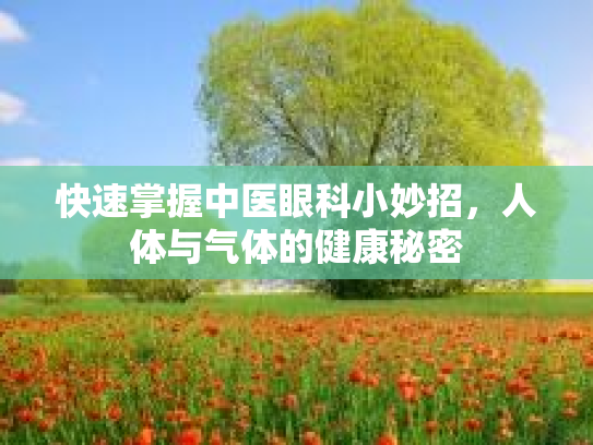 快速掌握中医眼科小妙招,人体与气体的健康秘密