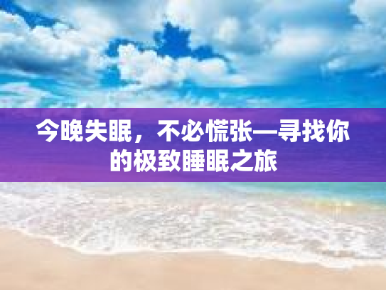 今晚失眠，不必慌张—寻找你的极致睡眠之旅