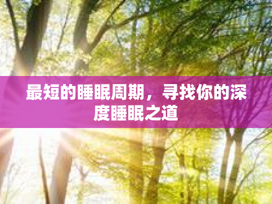 最短的睡眠周期，寻找你的深度睡眠之道