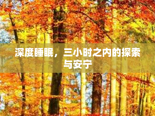 深度睡眠，三小时之内的探索与安宁