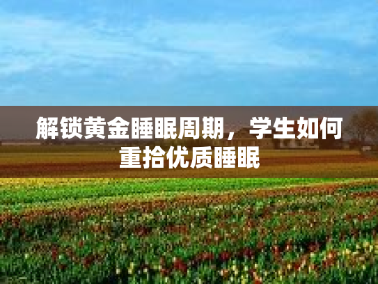 解锁黄金睡眠周期，学生如何重拾优质睡眠
