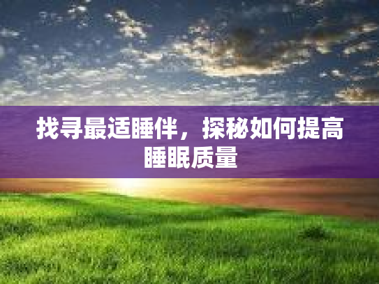 找寻最适睡伴，探秘如何提高睡眠质量